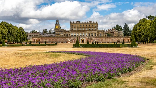 The parterre at Cliveden in summer